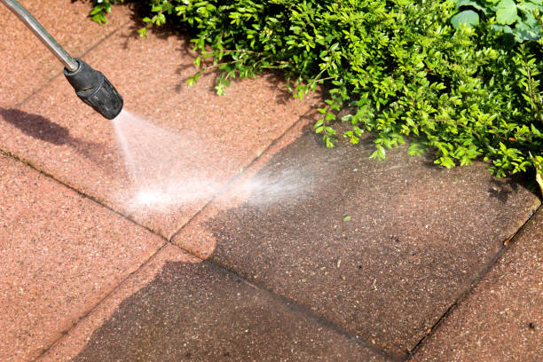Best Roof Pressure Washing  in Raton, NM