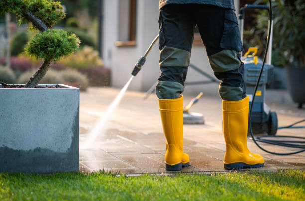 Best Affordable Pressure Washing  in Raton, NM